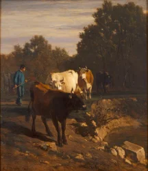 Terugkeer in het avondlicht